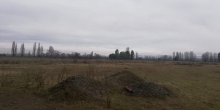 Image-5