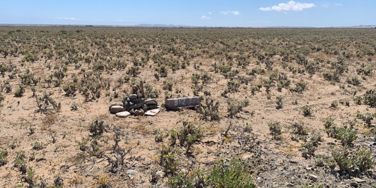 WhatsApp Image 2025-12-01 at 14.05.02