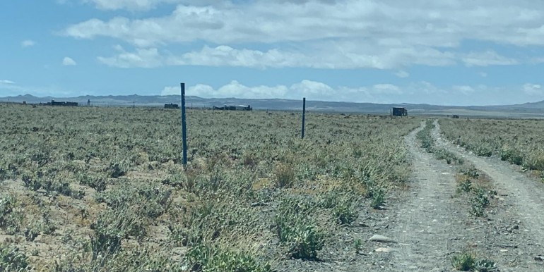 WhatsApp Image 2025-12-01 at 14.05.12