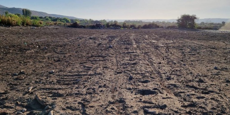 WhatsApp Image 2026-02-23 at 14.55.09