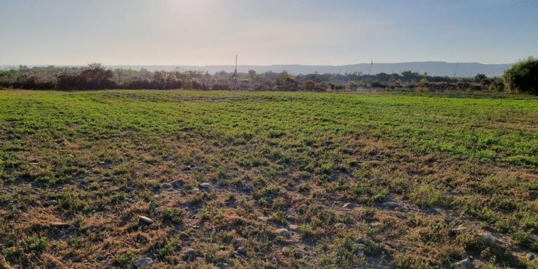 WhatsApp Image 2026-02-23 at 14.55.11