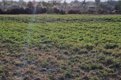 Venta terreno Agricola Ovalle