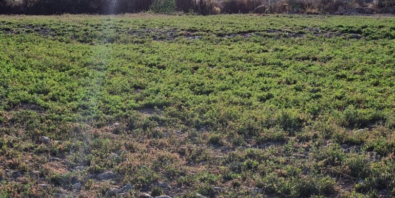 WhatsApp Image 2026-02-23 at 14.55.12