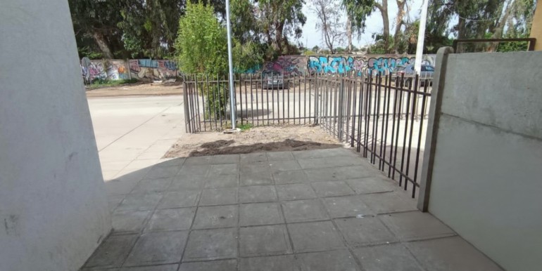 WhatsApp Image 2026-04-09 at 19.50.09