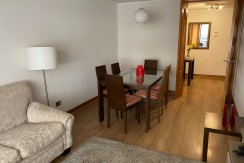 Arriendo Departamento 2D2B Parque Brasil